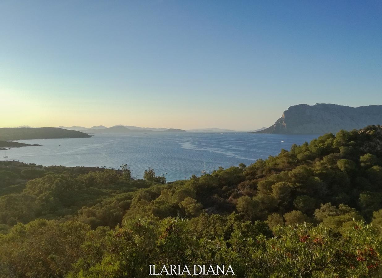 Residence Edilmare San Teodoro 外观 照片