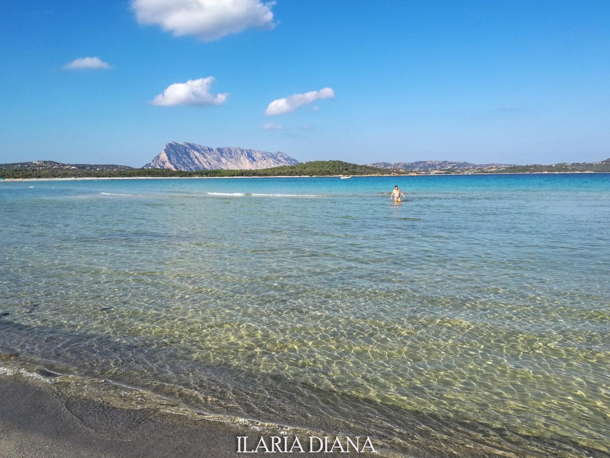 Residence Edilmare San Teodoro 外观 照片